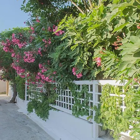 Kalypso Studios&rooms * Palaiochora